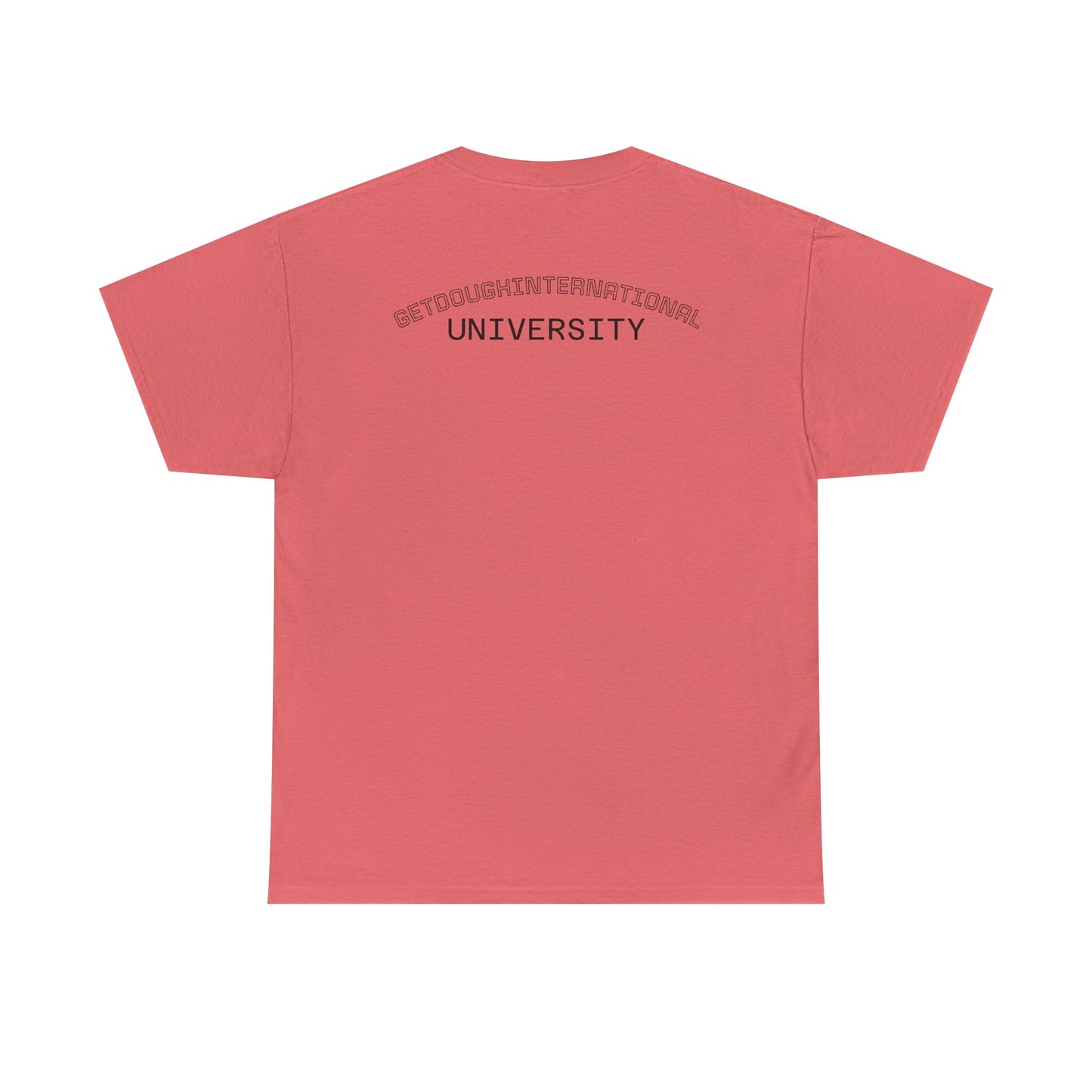 Unisex Heavy Cotton Tee - Funny College Tee, Gifts for Students, Casual Wear, Winter Fashion, Trendy Graphic Shirt